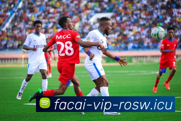 App Interface Preview